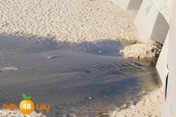 nakhom goldman majary (2).JPG